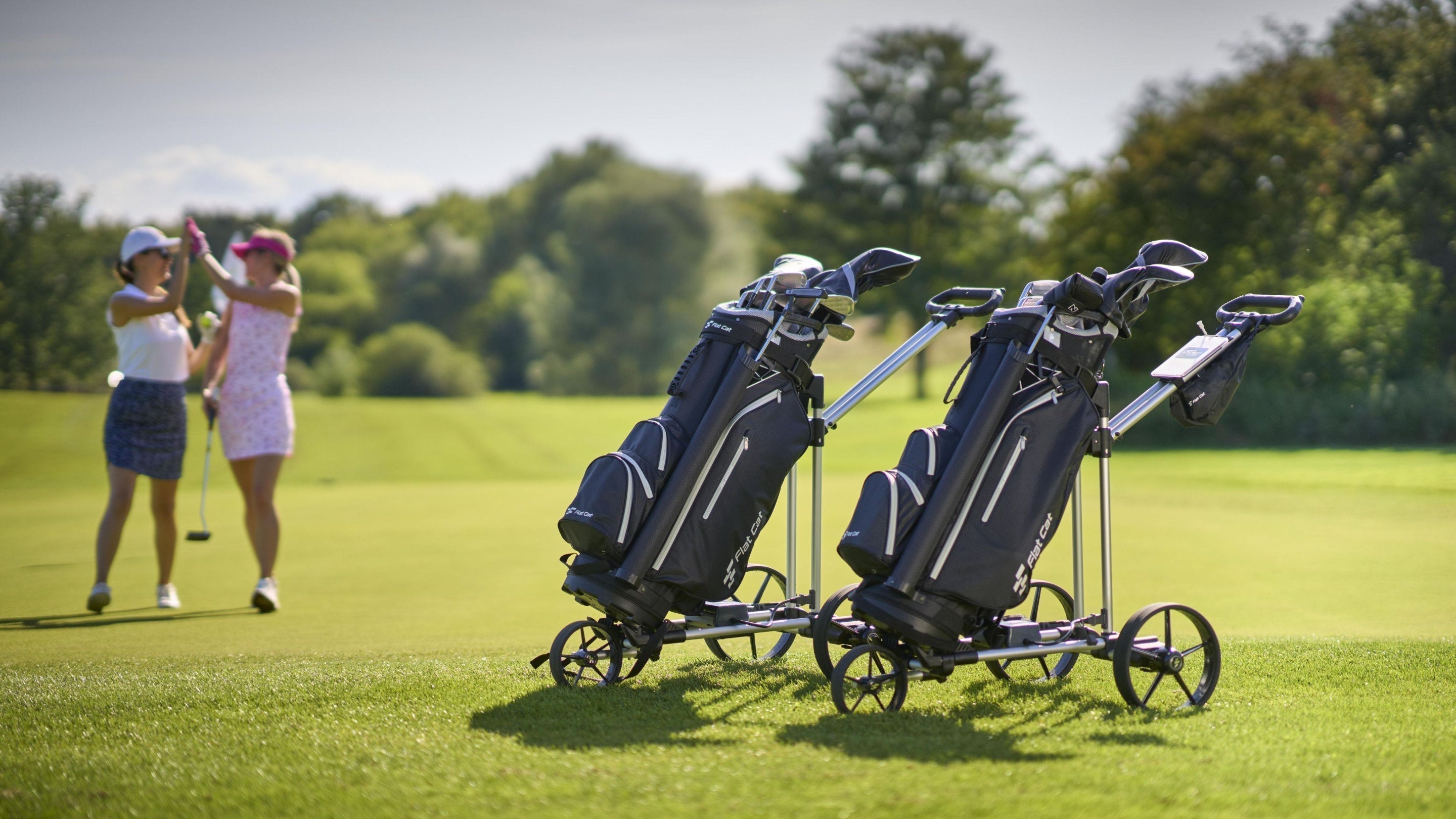 05-FLAT CAT - AUS BAYERN IN DIE WELT